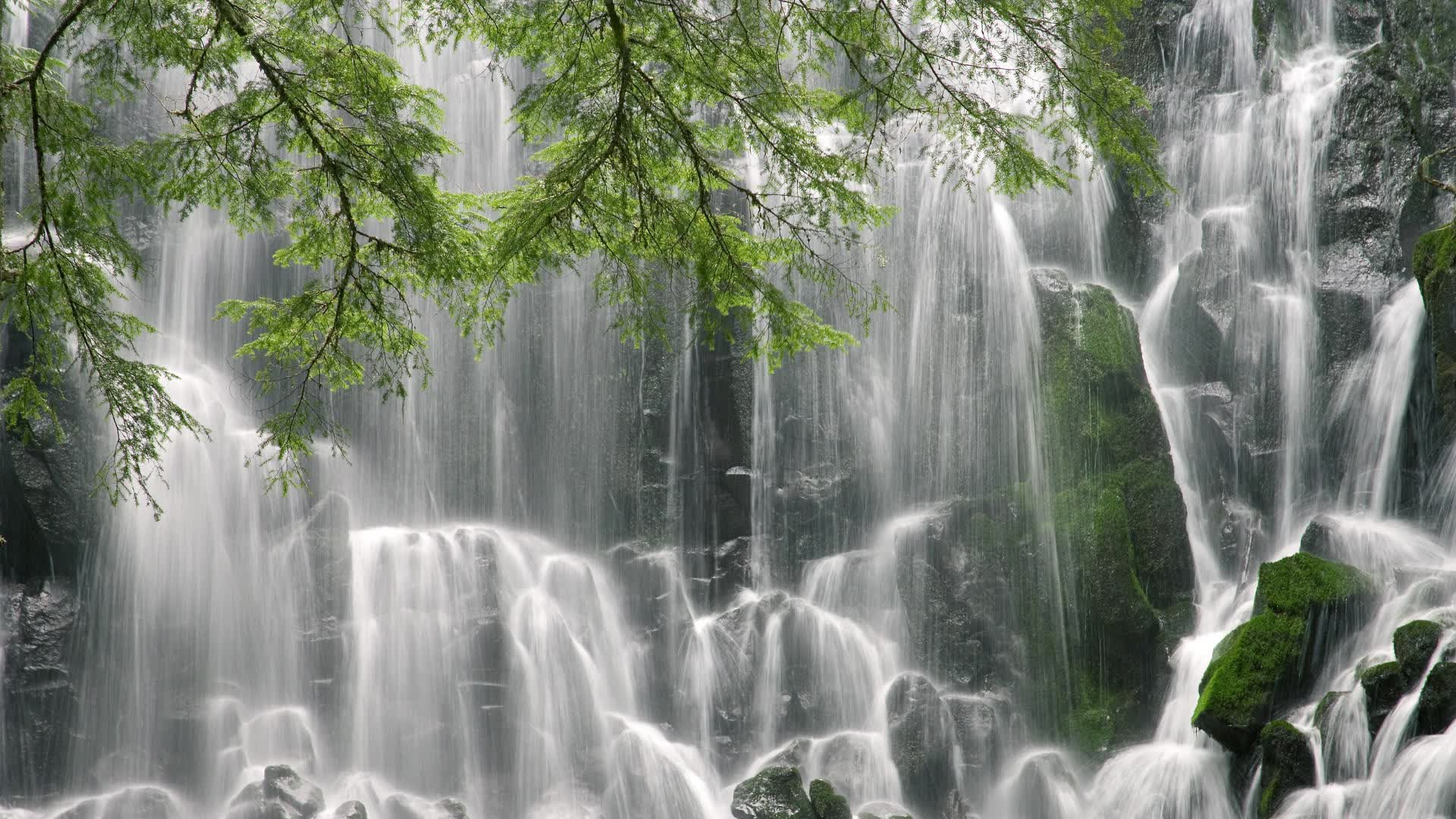 《无畏契约》全球冠军赛落地上海,门票预售开启后瞬间秒空。,无畏契约赛制